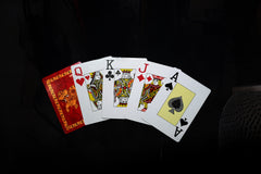 COSMIC Art Hub Original Playing Cards - Plastic Coated, Jumbo Index, Poker Size - Premium Designer Deck with Indian Elephant Art